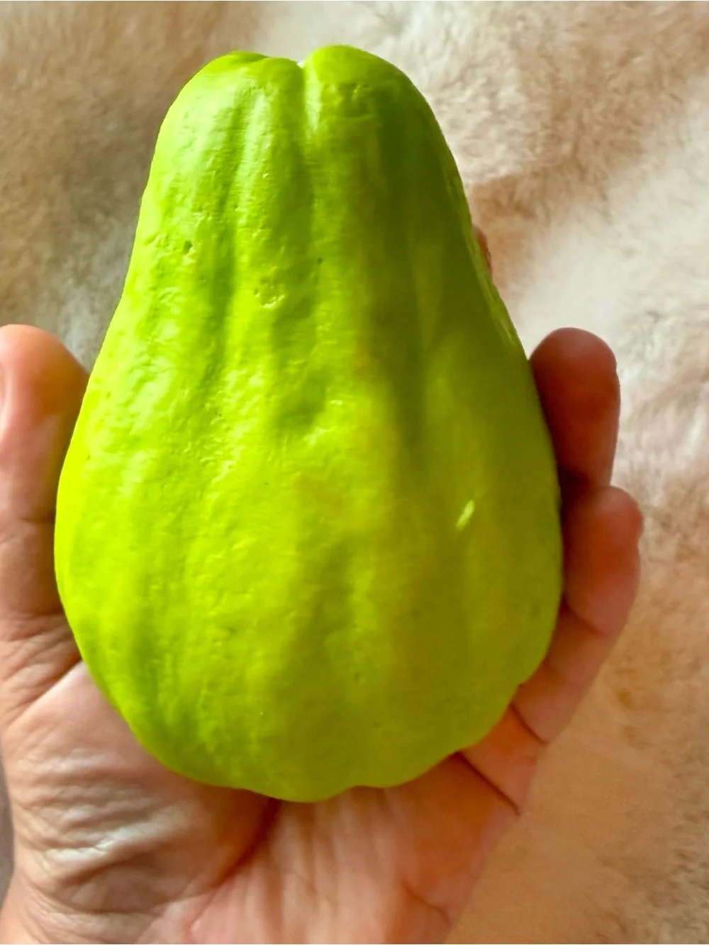3D Realistic Chayote Coin Purse Keychain Bag Charm | Novelty Vegetable Pouch